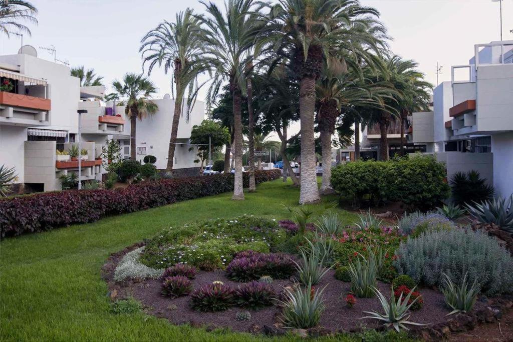 Tenerife Primavera Arona  Eksteriør billede
